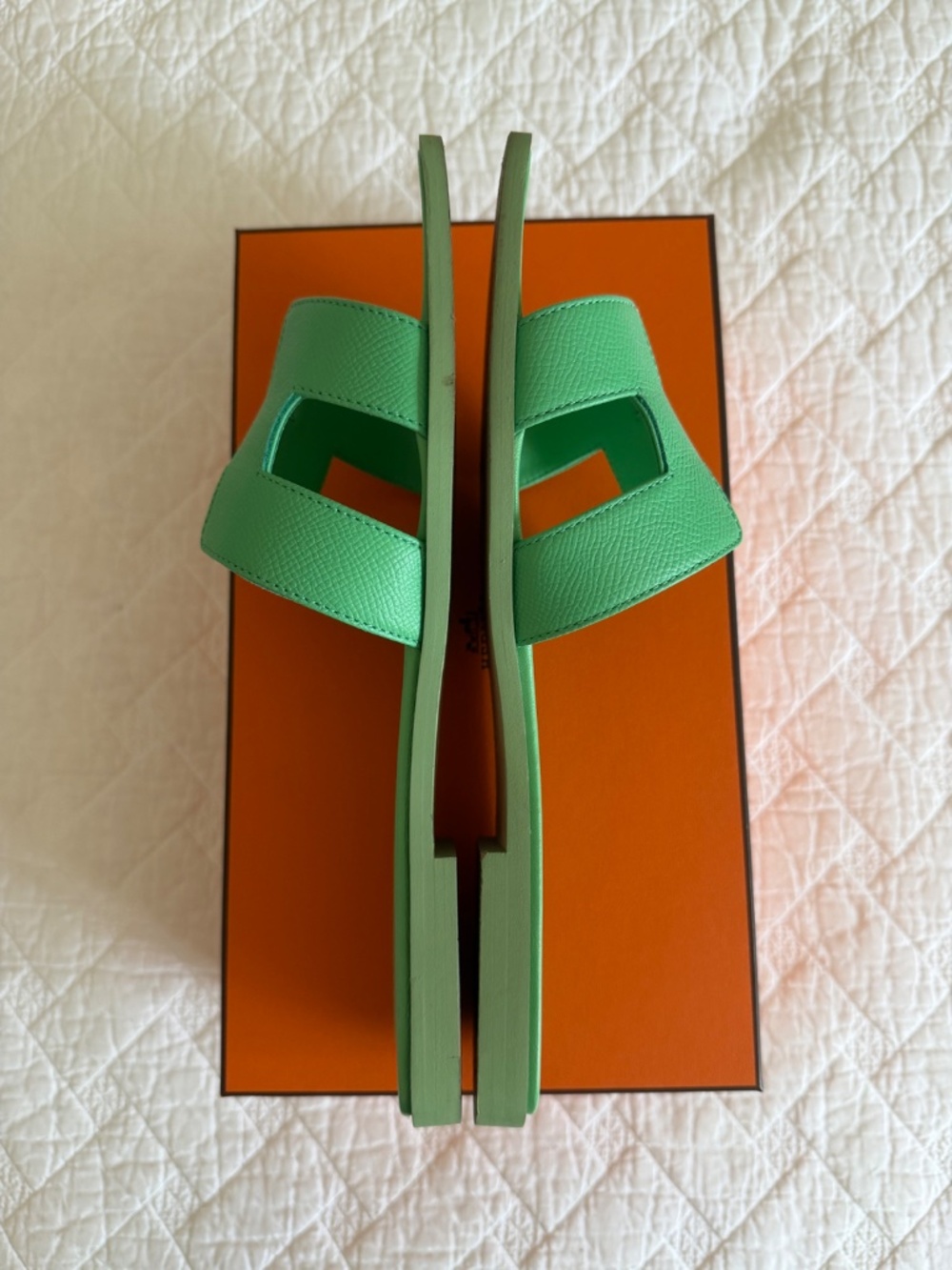 Hermes Orans - Picture 4 of 10